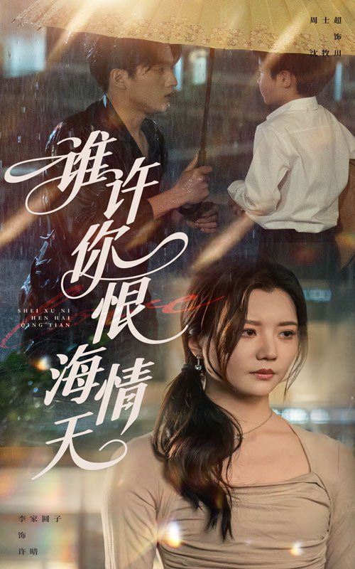 谁许你恨海情天(全集)