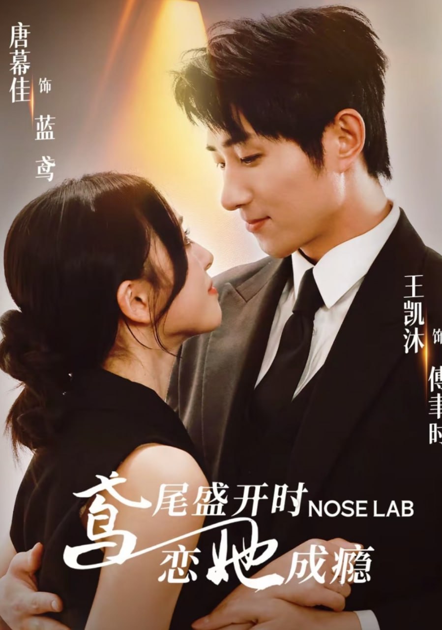 鸢尾盛开时恋她成瘾(全集)